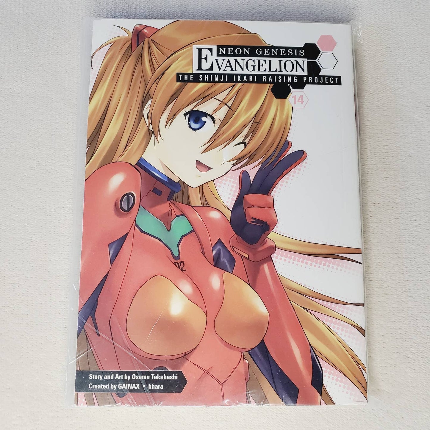 Evangelion Bundle: Illustrations 2007-2017, Neon Genesis 15 & 14 Books - NIP & NWOT